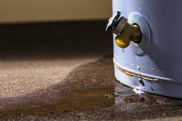 Best 24/7 water damage repair  in Delshire, OH