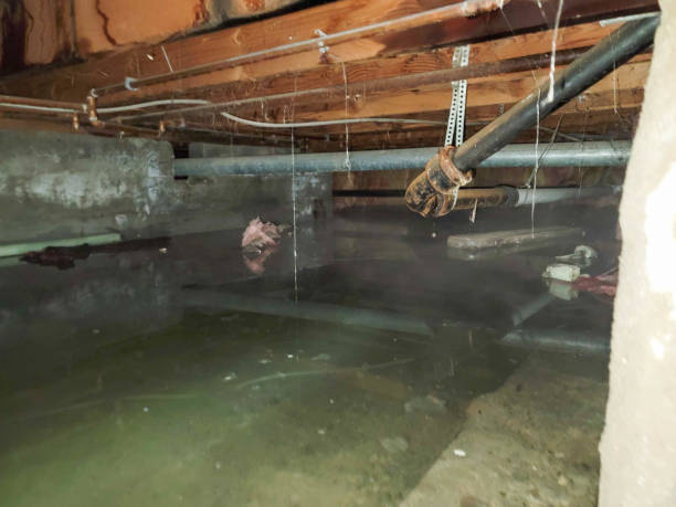Best Ceiling water damage repair  in Delshire, OH