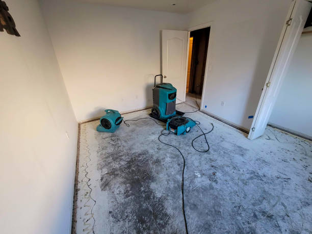 Best Local water damage restoration  in Delshire, OH