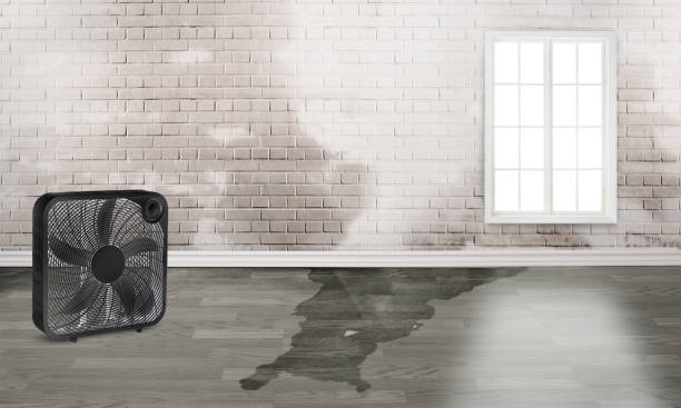 Best Sewage cleanup and water damage restoration  in Delshire, OH