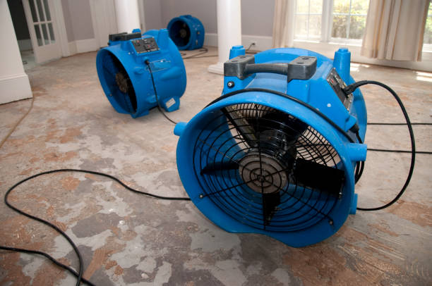 Best Water damage restoration mold remediation  in Delshire, OH