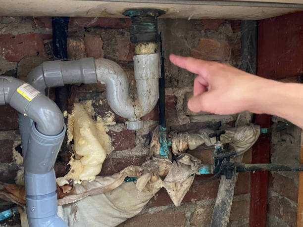 Best Professional water damage repair  in Delshire, OH