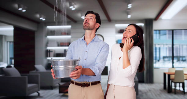Best 24-hour water damage restoration  in Delshire, OH