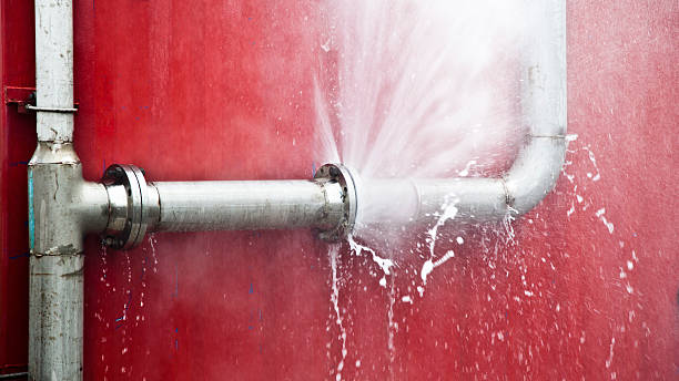 Best Basement water damage restoration  in Delshire, OH