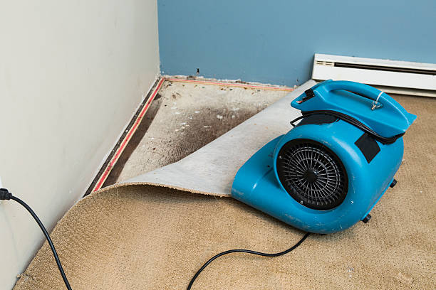 Best Fire Damage Restoration  in Delshire, OH